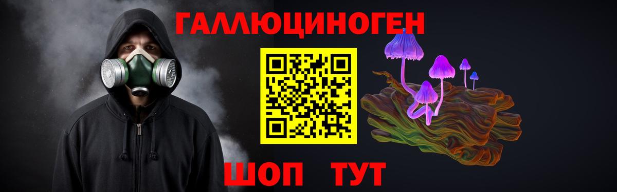 Галлюциногенные грибы Psilocybine cubensis Кропоткин